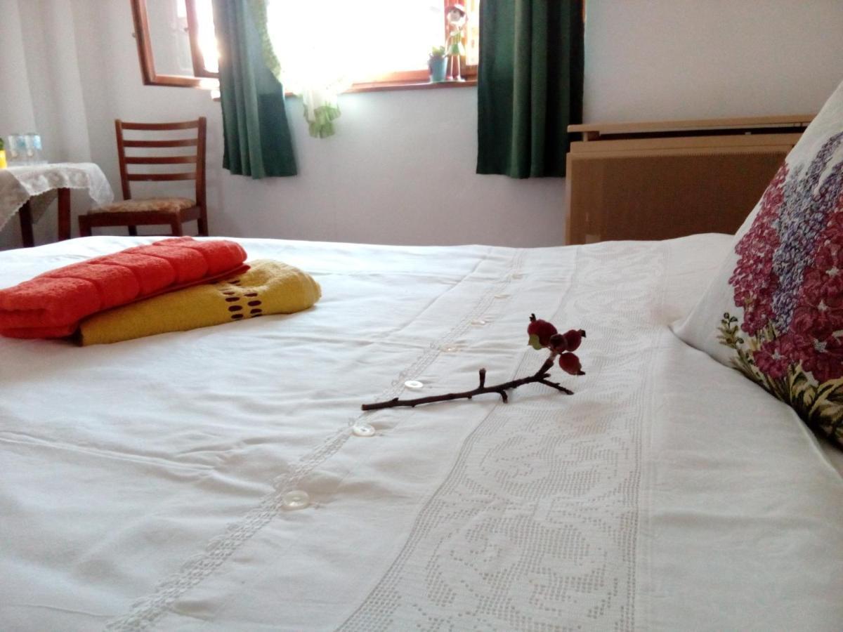 Grandpa'S Room Sighisoara Exterior photo